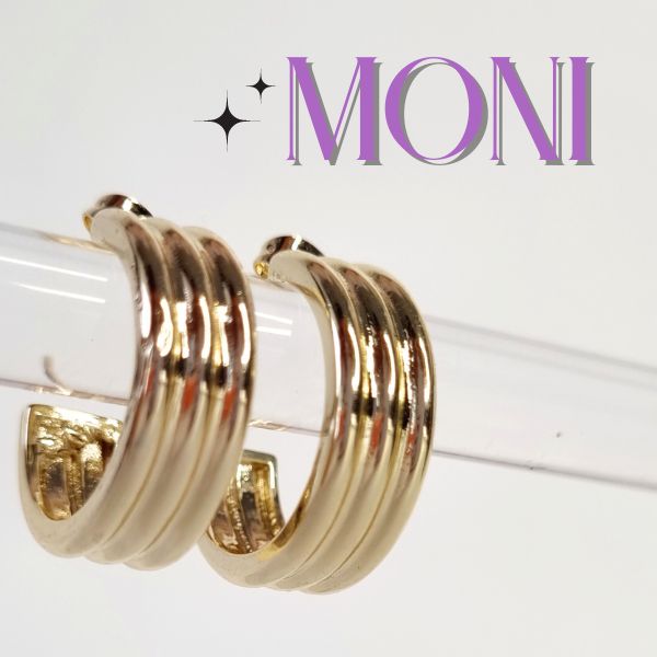 Aretes Moni